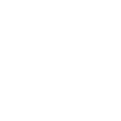 google icon black